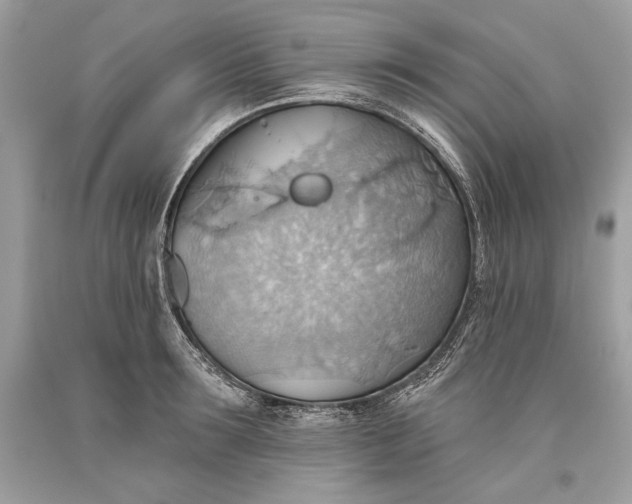 X0000093520899200710261217