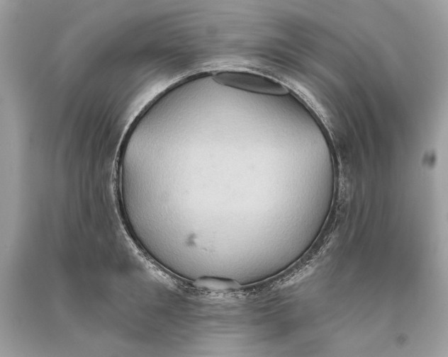 X0000093520901200710261217