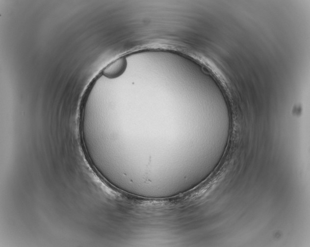 X0000093520902200710261217