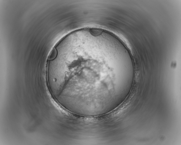 X0000093520903200710261217