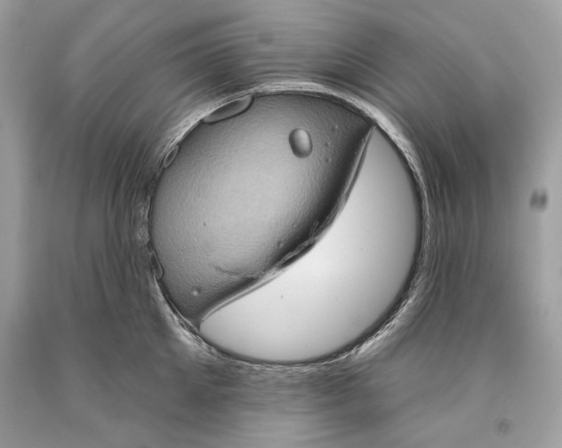 X0000093520905200710261217