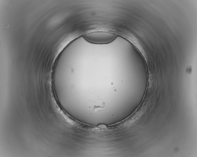 X0000093520906200710261217