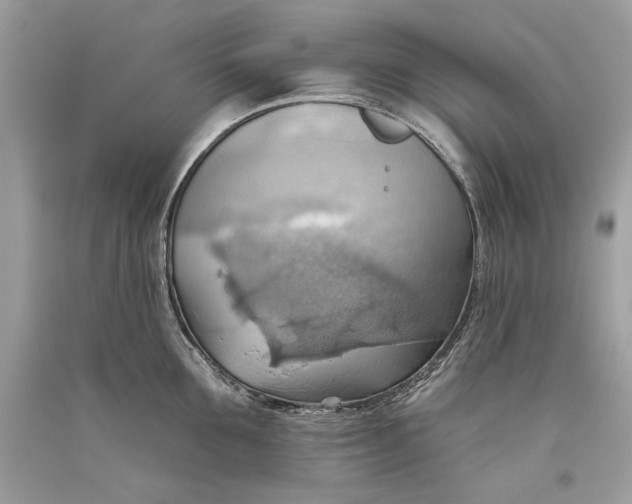 X0000093520907200710261217