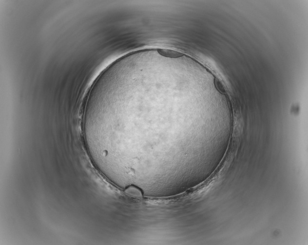 X0000093520908200710261217