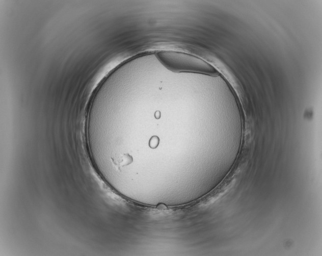 X0000093520909200710261217