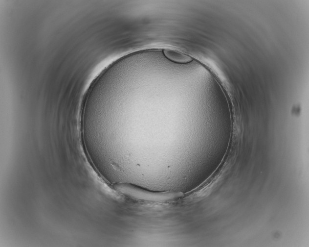 X0000093520910200710261216