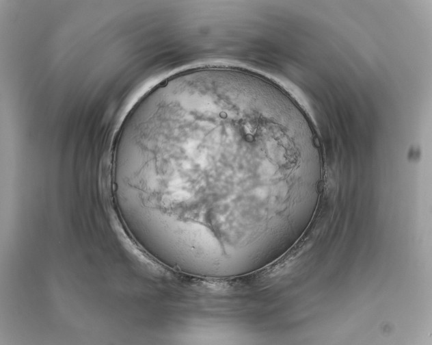 X0000093520911200710261216