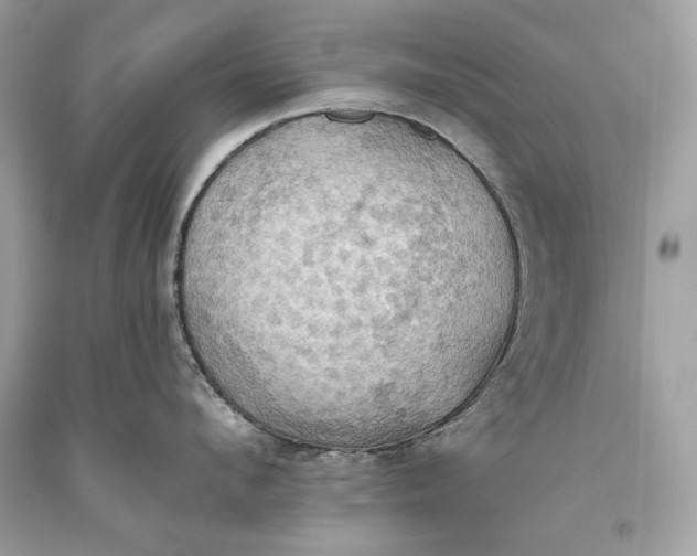 X0000093520912200710261216