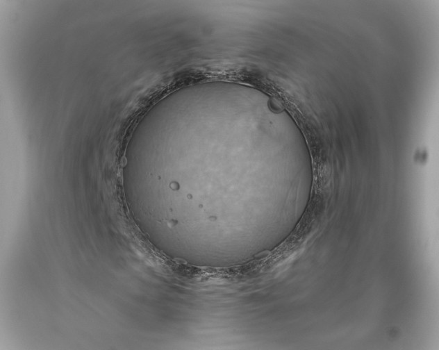 X0000093520913200710261216