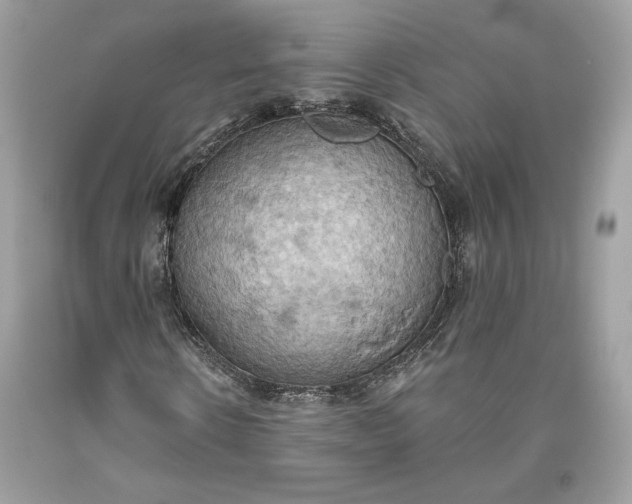 X0000093520914200710261216