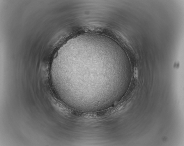 X0000093520915200710261216