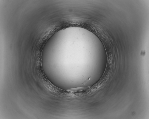 X0000093520916200710261216