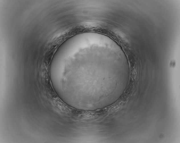 X0000093520917200710261216