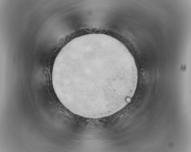 X0000093520918200710261216