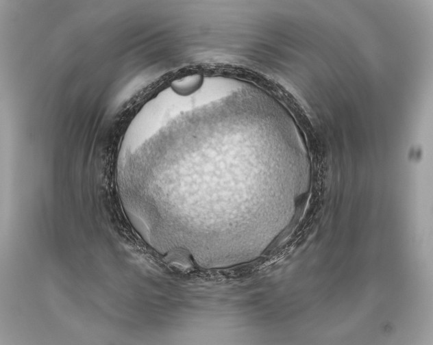 X0000093520919200710261216