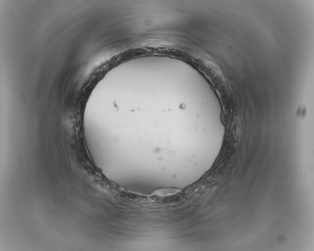 X0000093520920200710261216