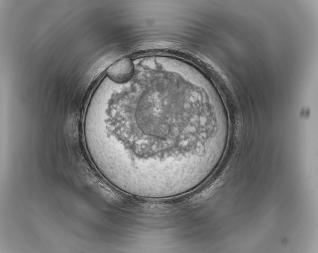 X0000093520921200710261216