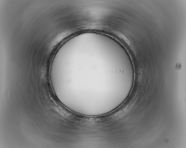 X0000093520922200710261216