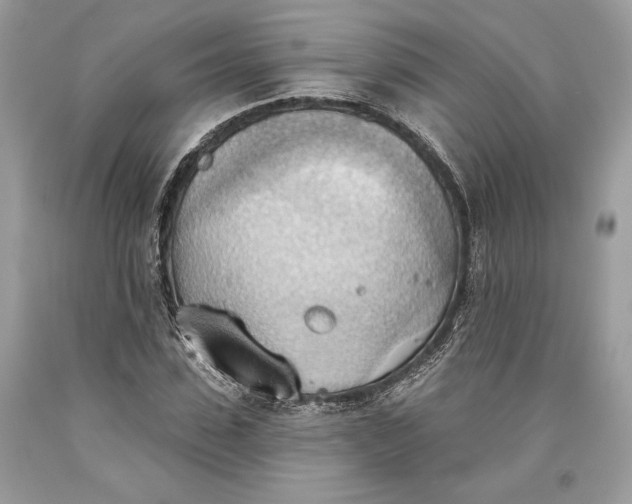 X0000093520923200710261216