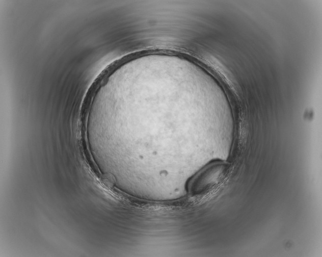 X0000093520924200710261216