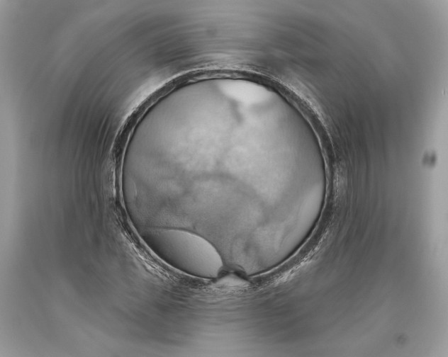 X0000093520925200710261216