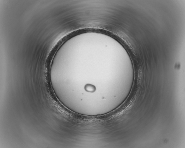 X0000093520926200710261216