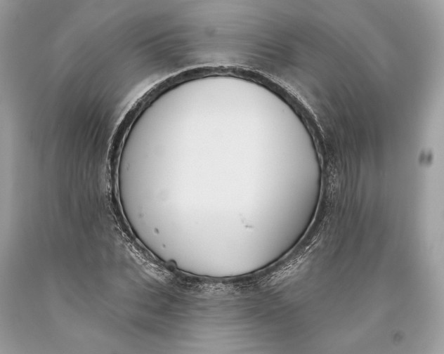 X0000093520927200710261216