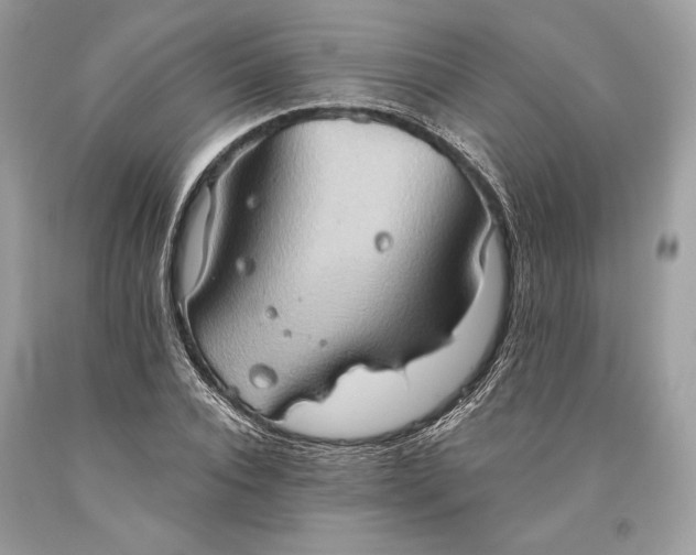 X0000093520928200710261216