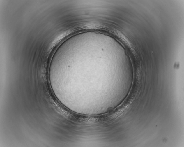 X0000093520930200710261216