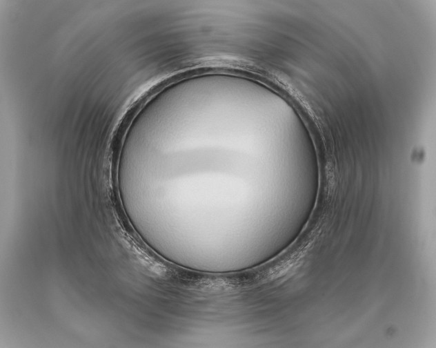 X0000093520931200710261216