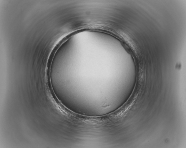 X0000093520932200710261216