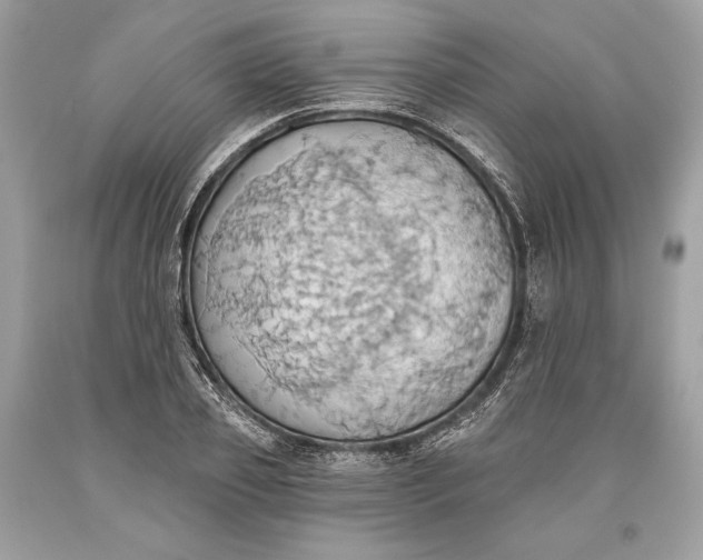 X0000093520933200710261216