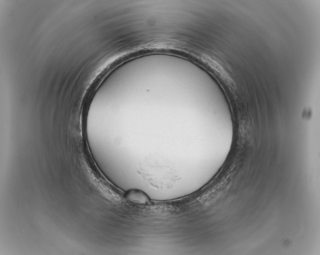 X0000093520934200710261216