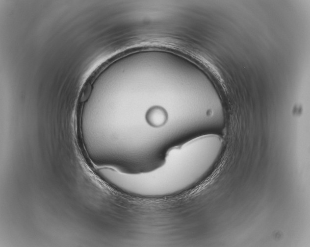 X0000093520936200710261216