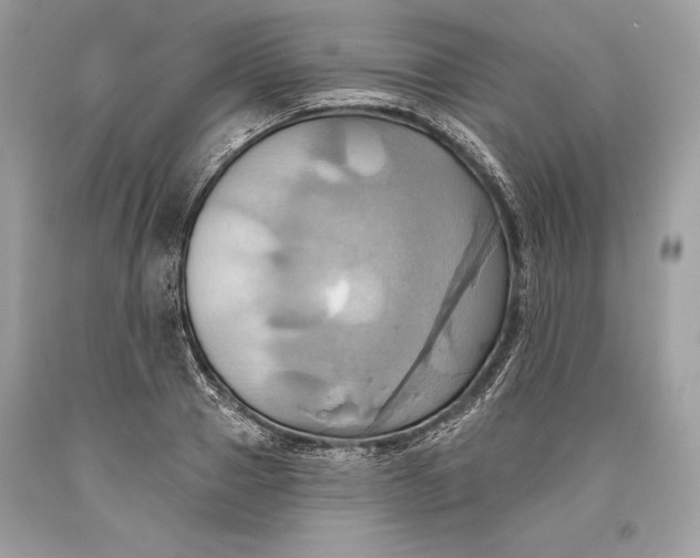 X0000093520937200710261216