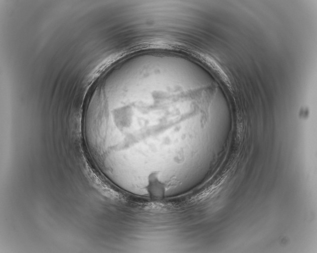 X0000093520938200710261216