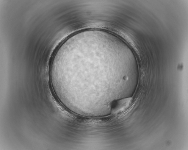 X0000093520939200710261216