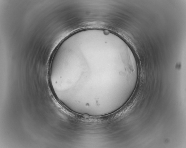 X0000093520941200710261216