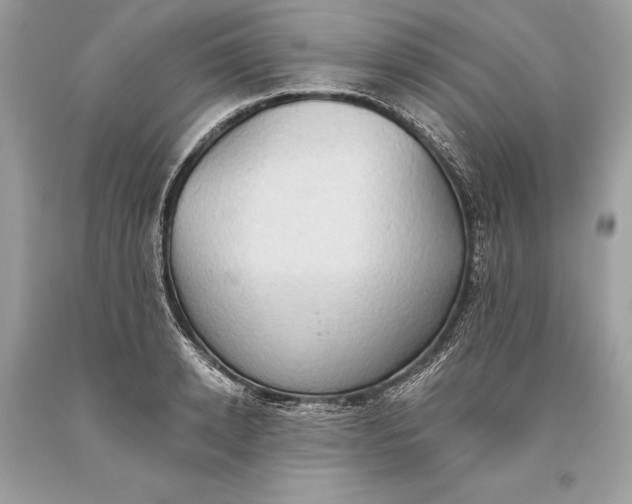 X0000093520942200710261216