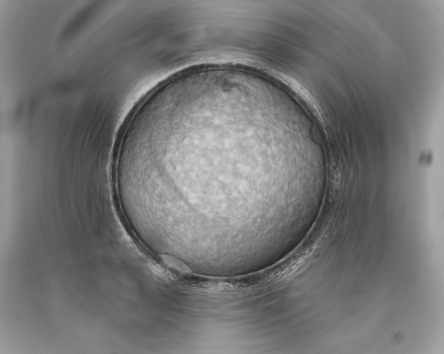 X0000093520943200710261216