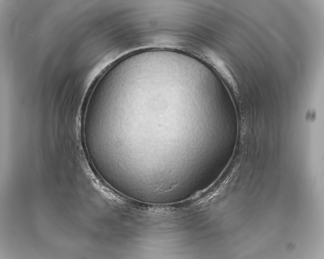 X0000093520944200710261216