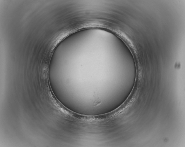 X0000093520945200710261216