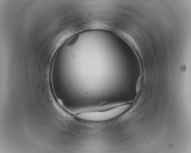 X0000093520946200710261216