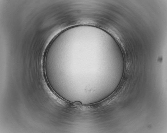 X0000093520947200710261216