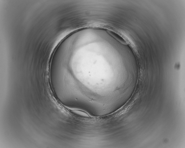 X0000093520948200710261216