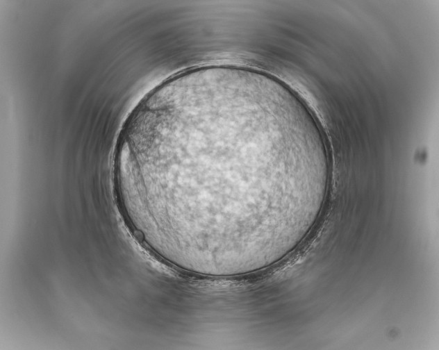 X0000093520949200710261216