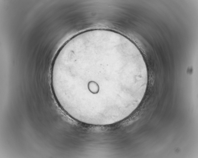 X0000093520950200710261216