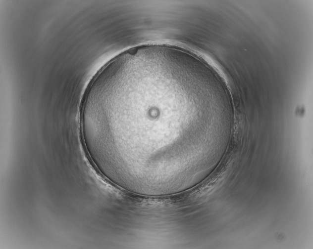 X0000093520951200710261216