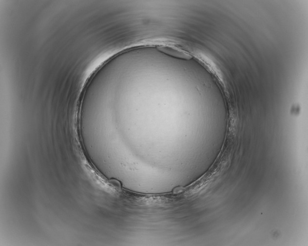 X0000093520952200710261216