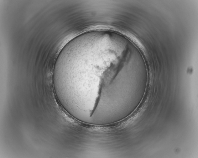 X0000093520953200710261216